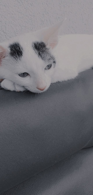 Zeynep