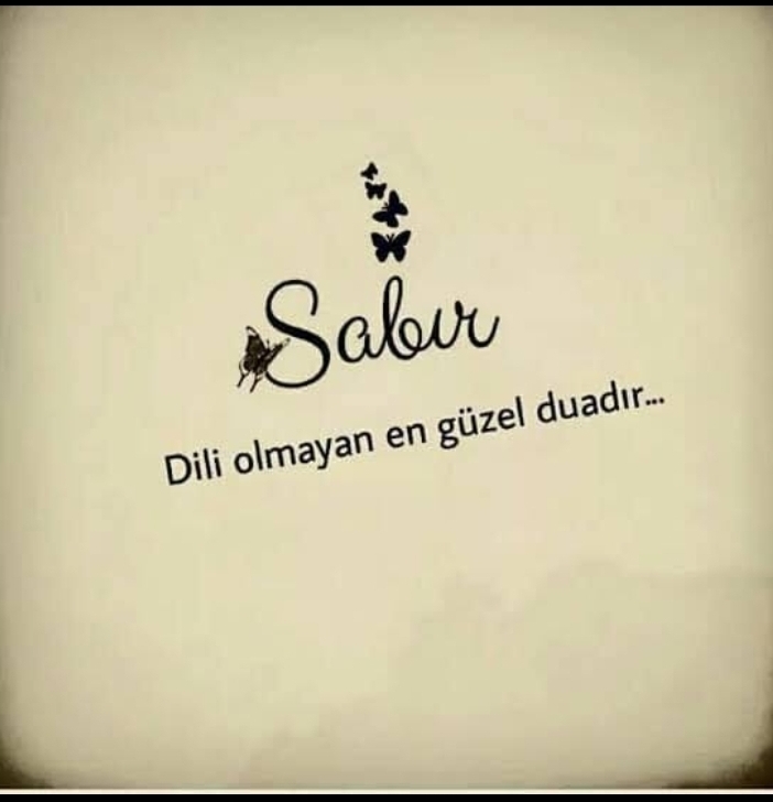 Veysel
