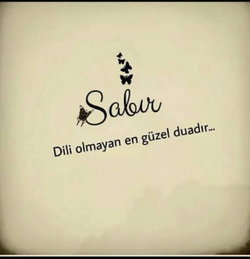 Veysel