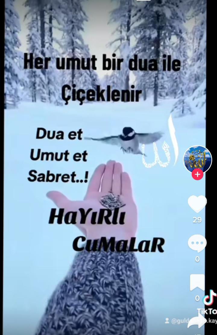 Halil
