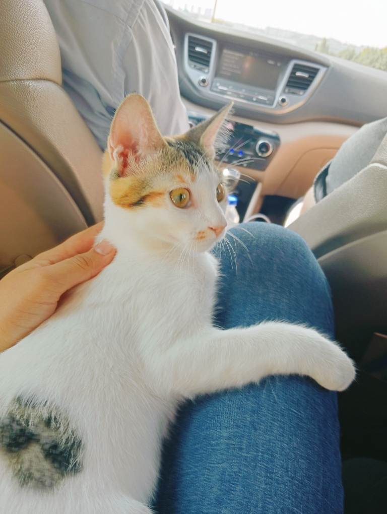 Azra