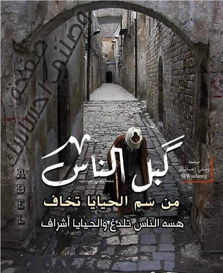 حبيب
