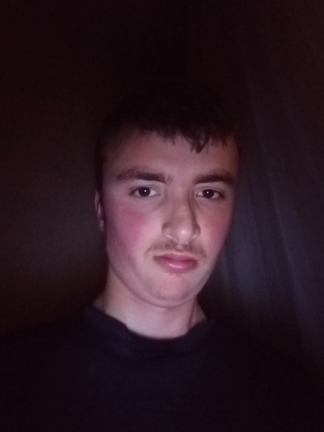 Brol