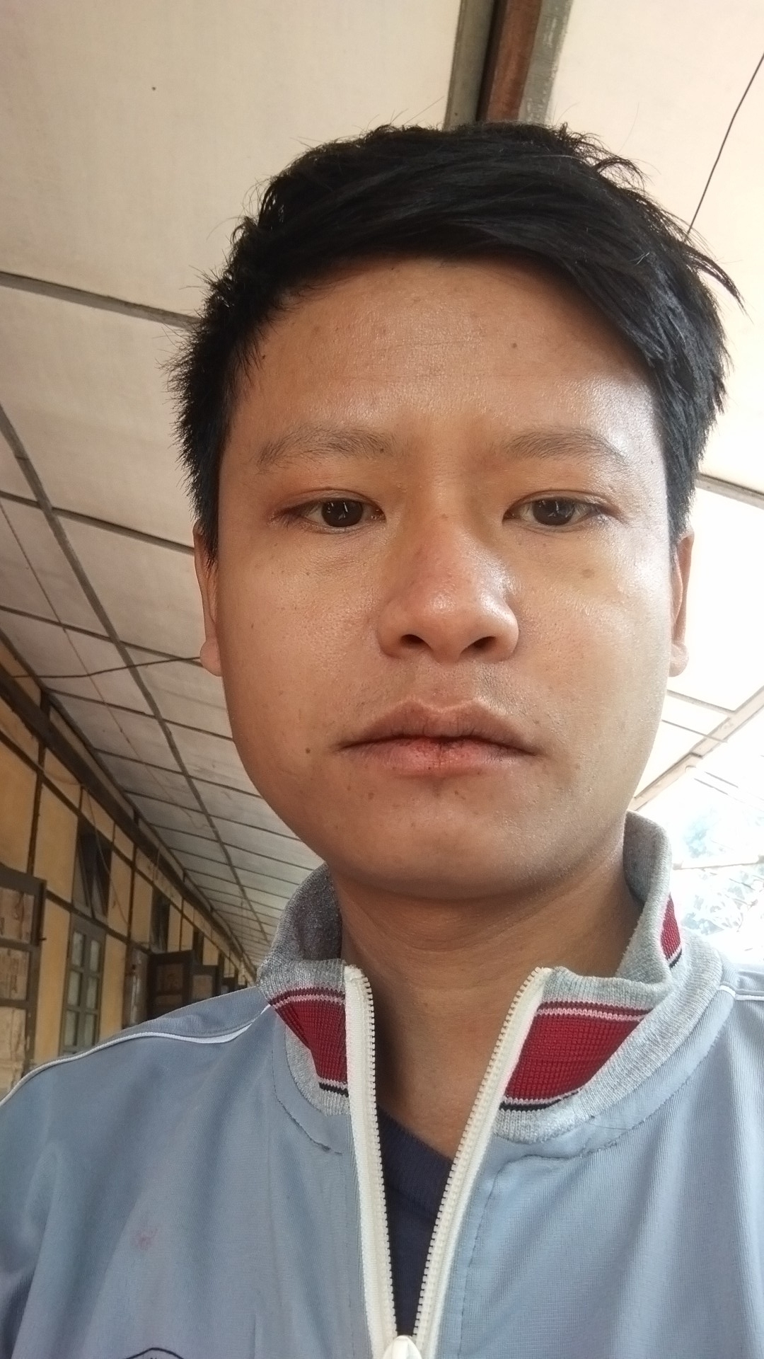 Ayay