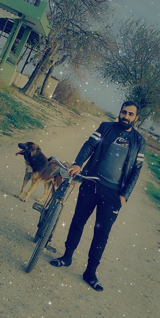 Ali