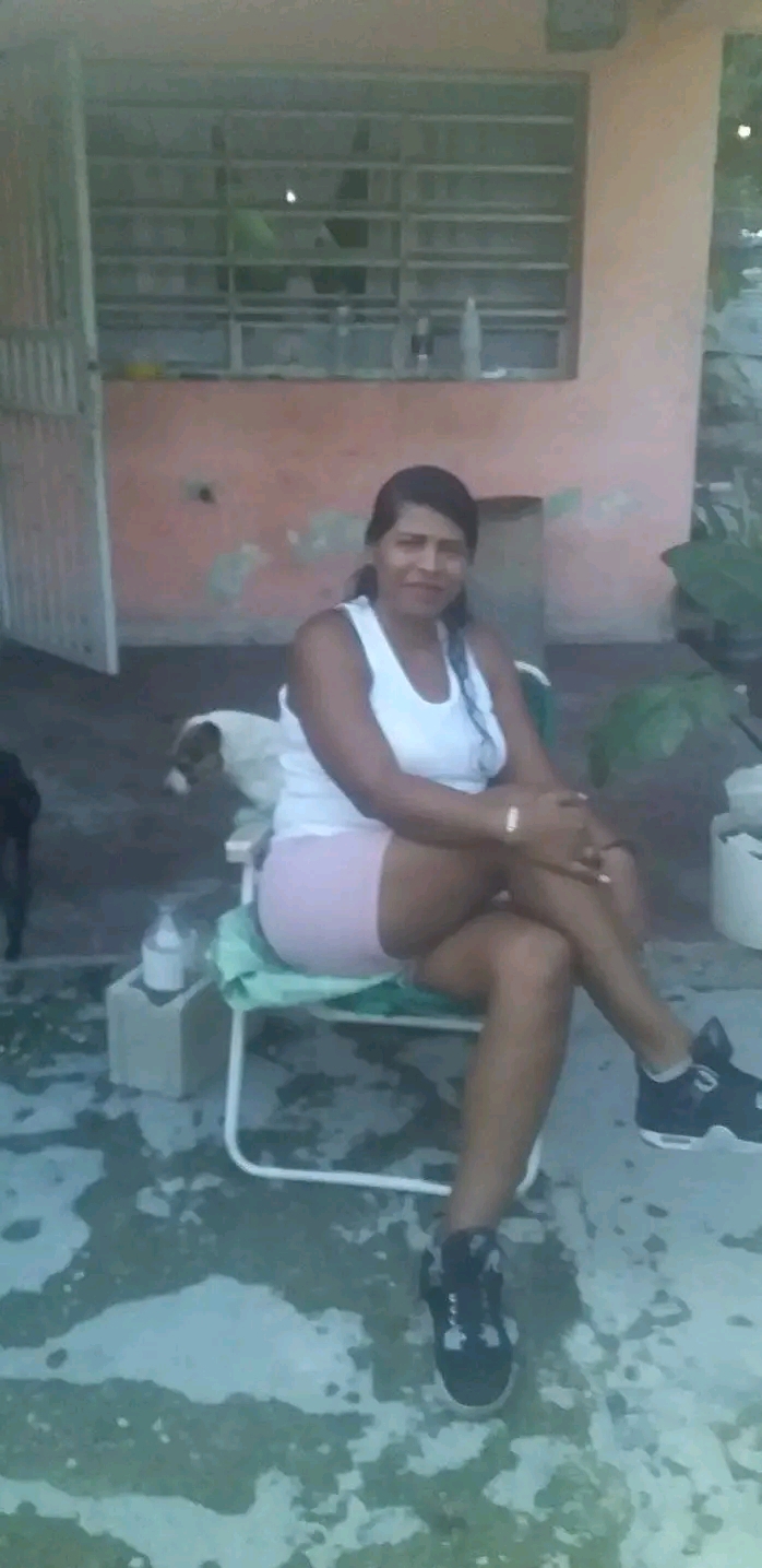 Daysisedecia