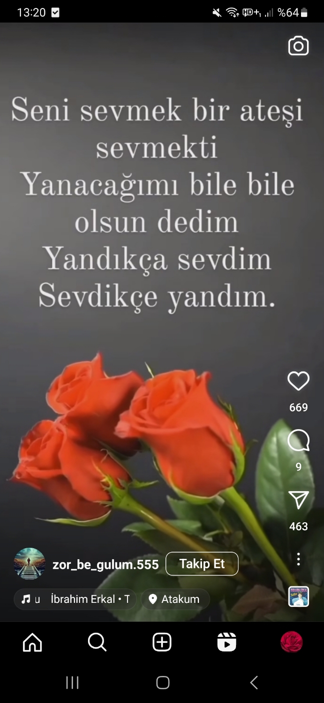 Nursel