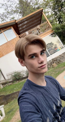 Rein