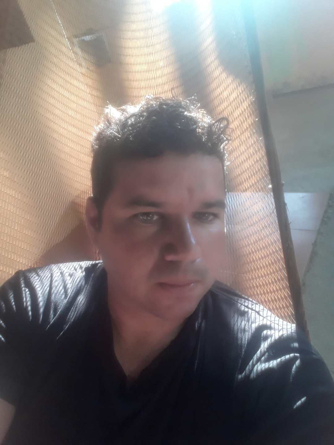 Rommer