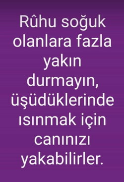 Fidan
