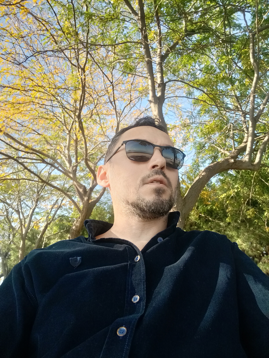 Serdar