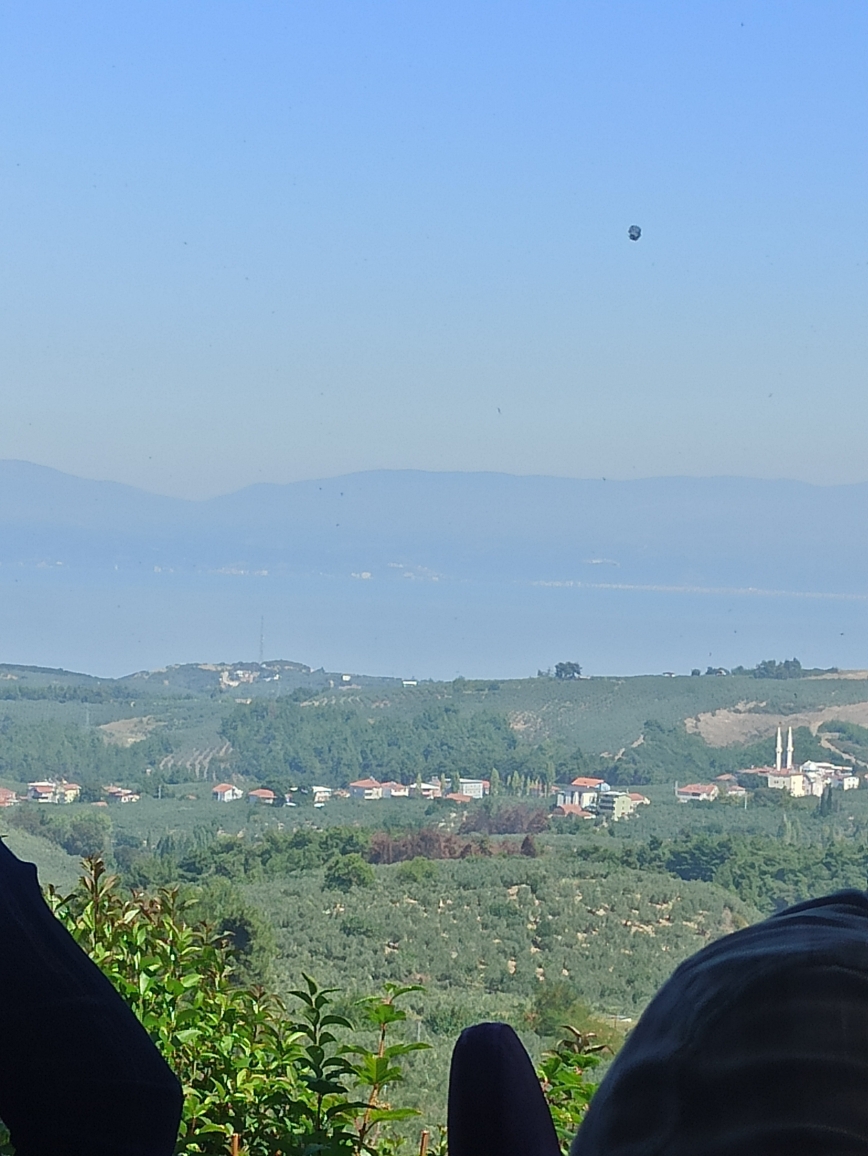 Pınar