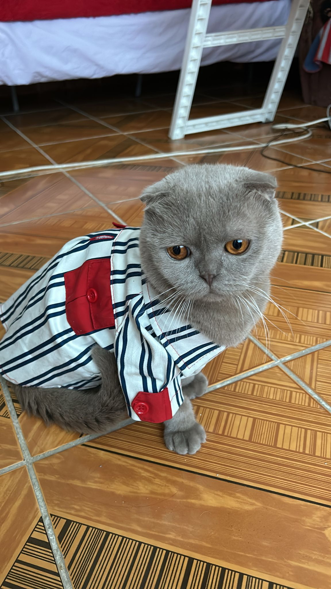 Gul37