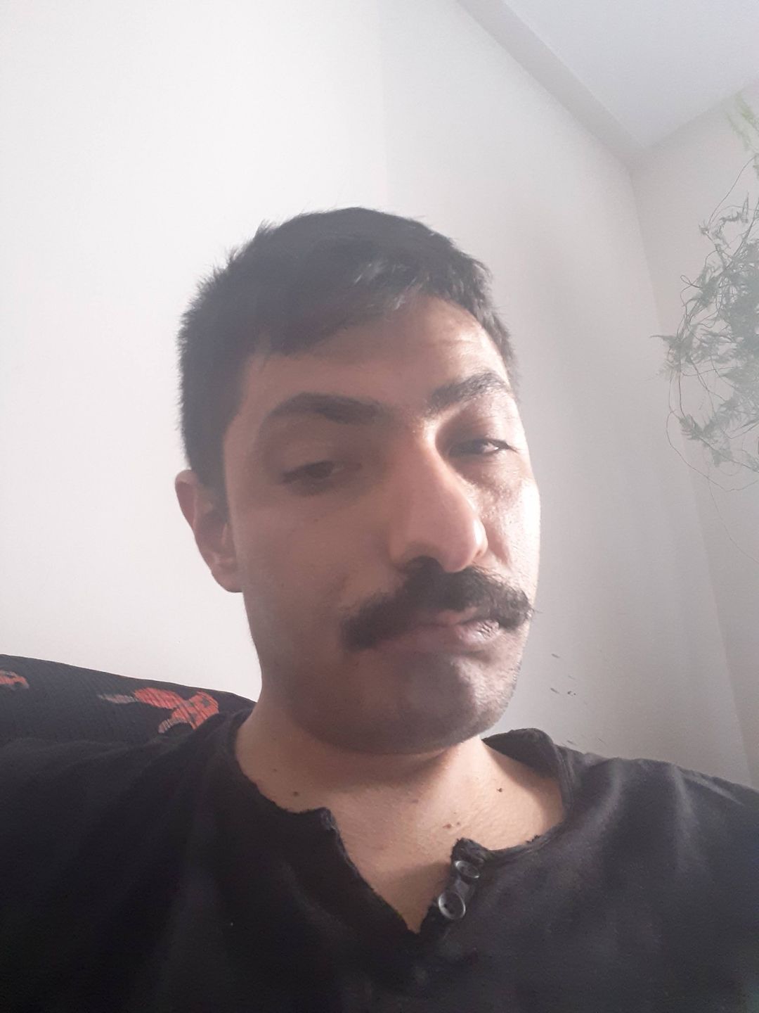 Tolga