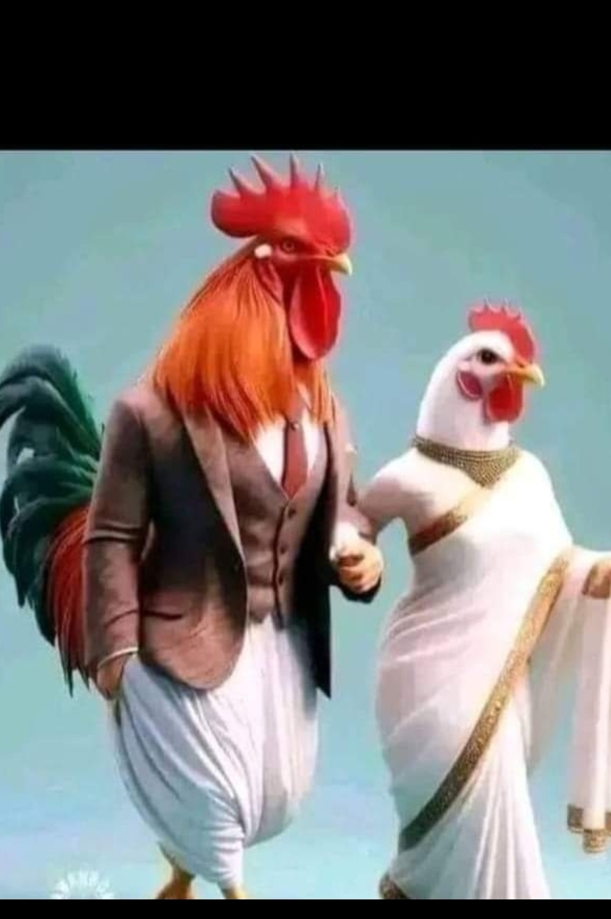 Jelibom