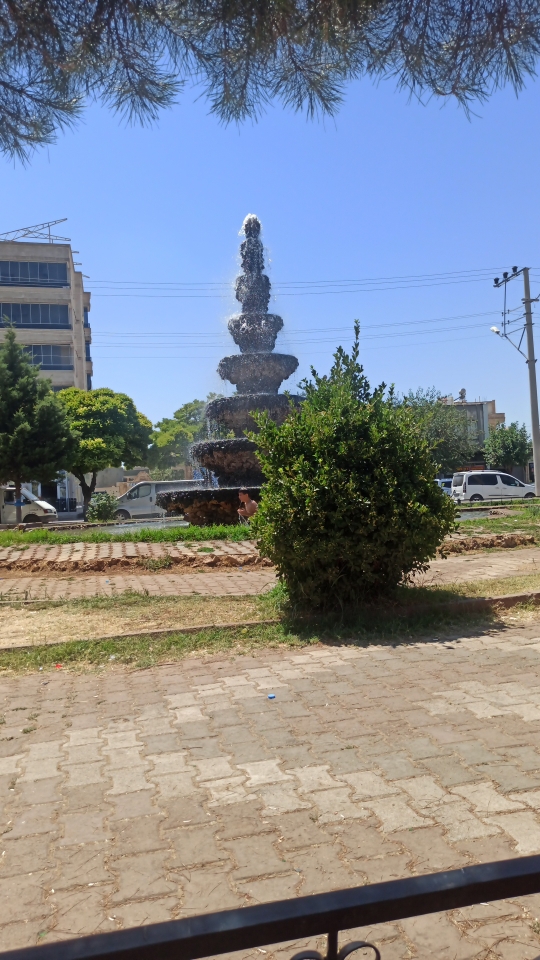 Halim
