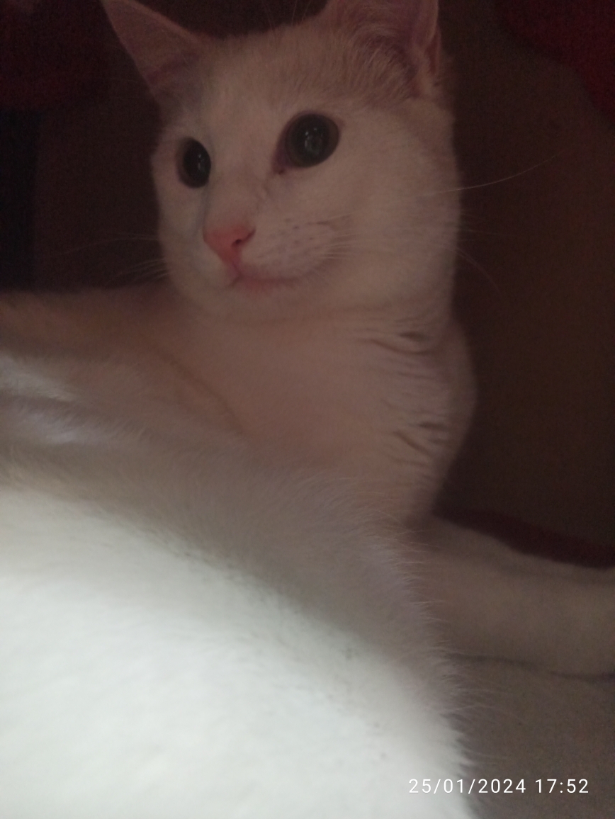 Almina