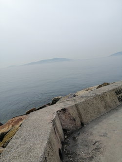 Umut