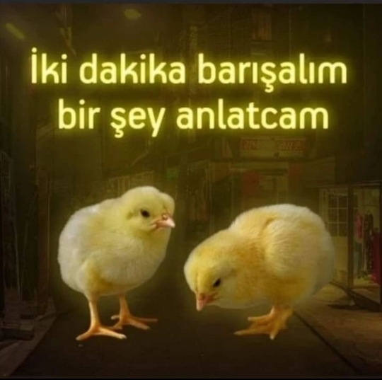 Osman
