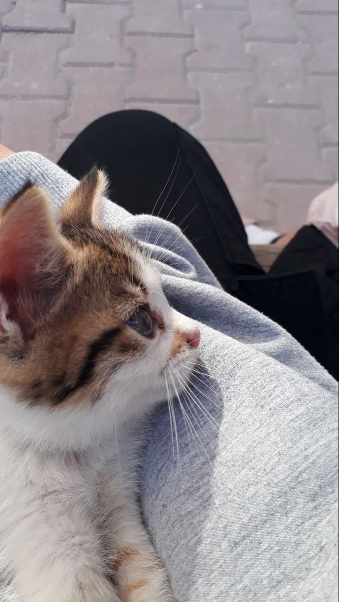 Zeynep