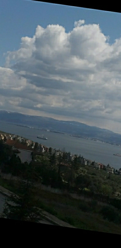 Aysel