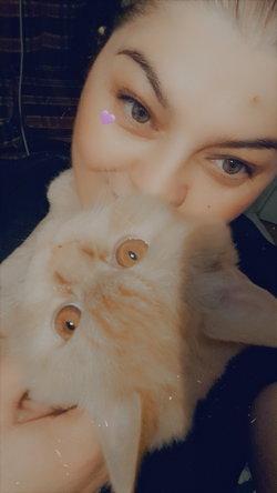 Ulviye