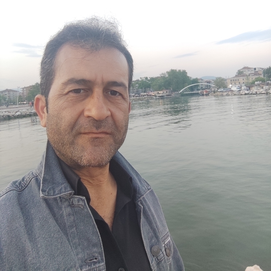 Doğan
