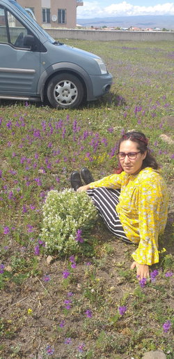 Özlem