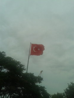 Nazlım