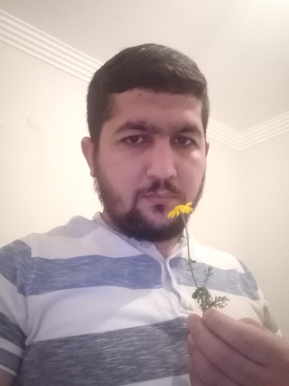 Erdem