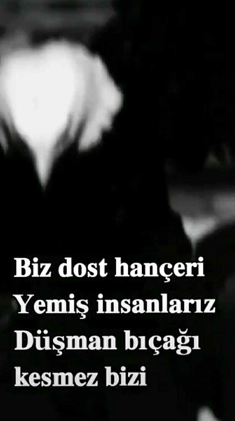 Serdar
