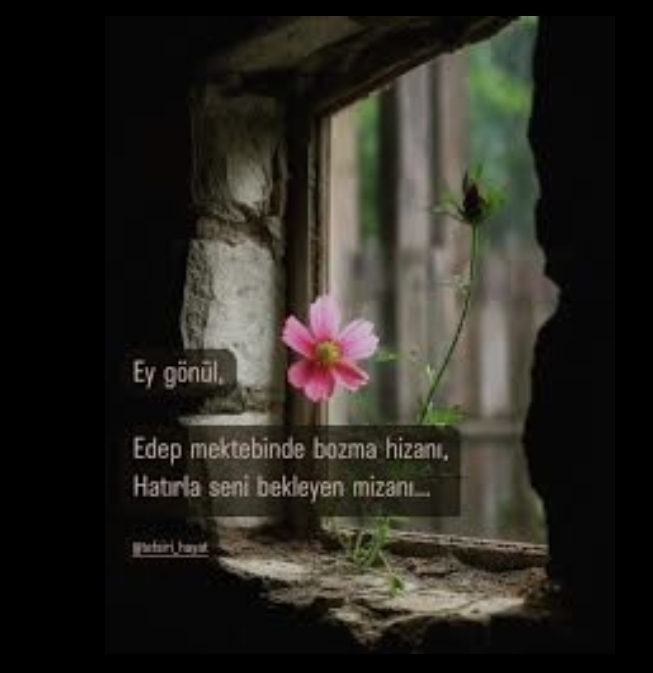 Gülşen