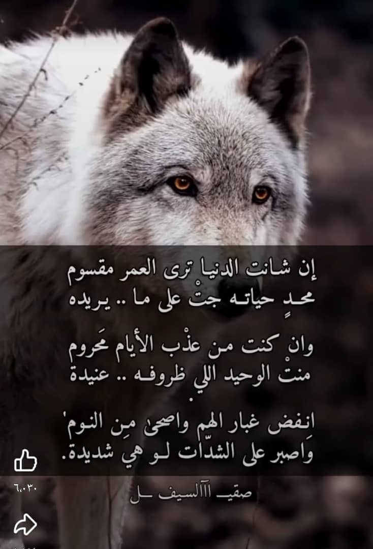 محمد