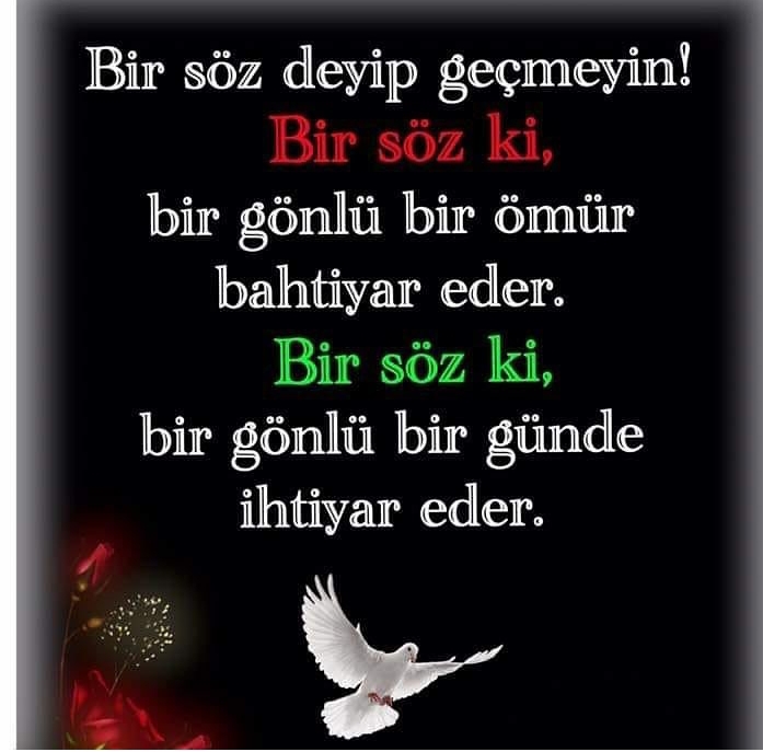 Aynur