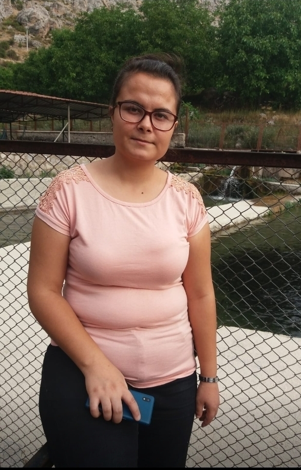 Seda