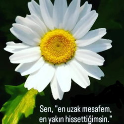 Ayaz