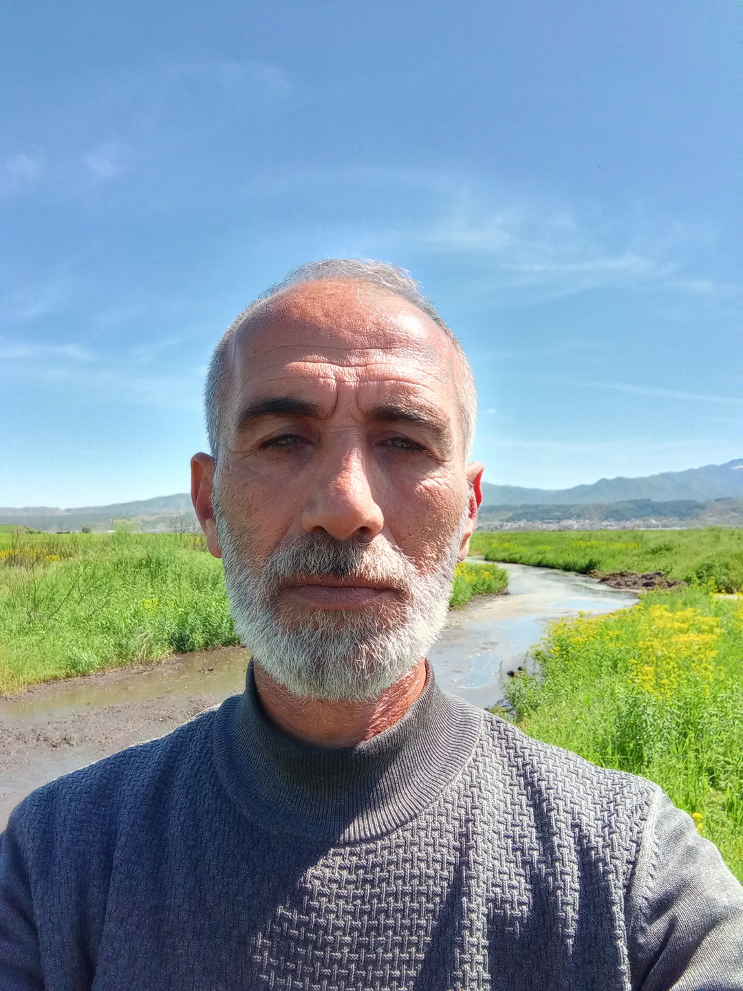 Şahin