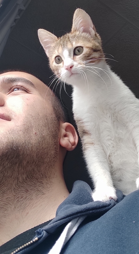 Furkan