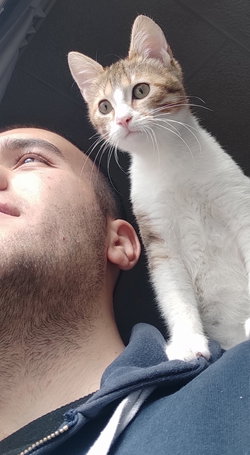 Furkan