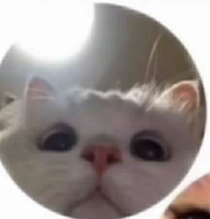 Nur