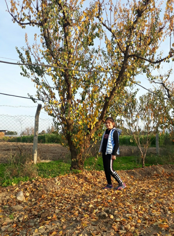 SEZİN
