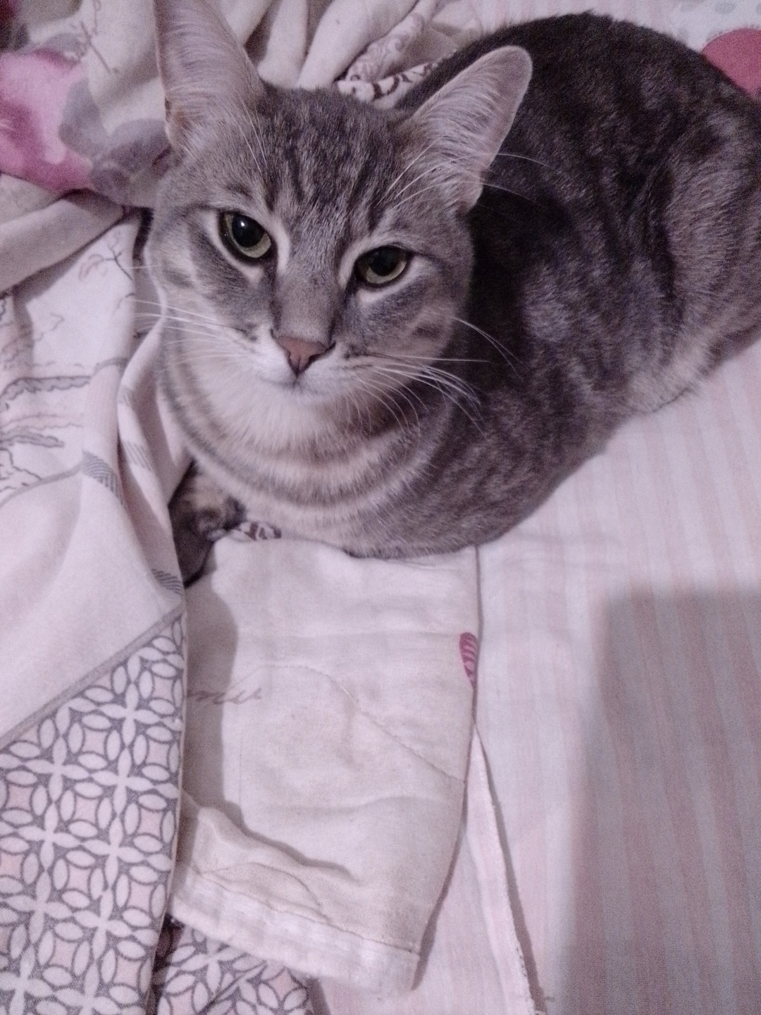 Arzu