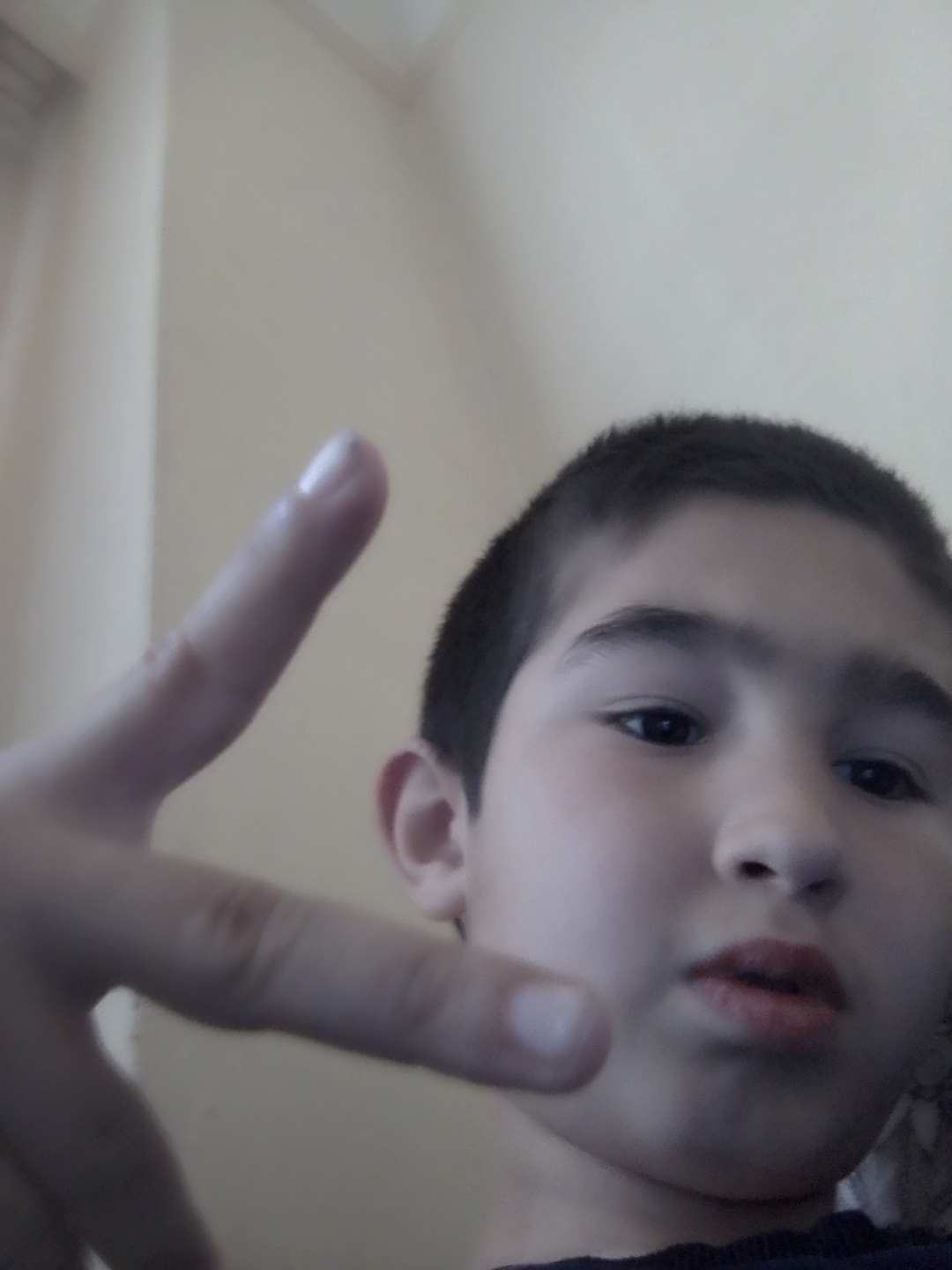 Enes