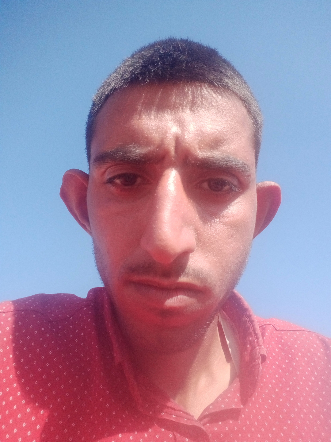 Salih