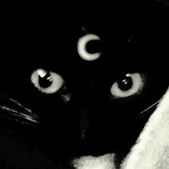 Precious