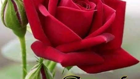 Rahul