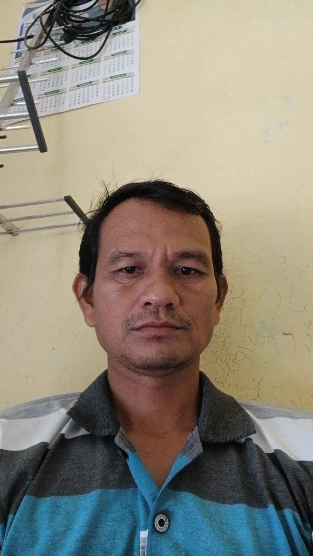 Datuaktaufit