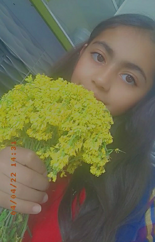 Ronahi