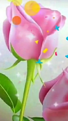 Rabia