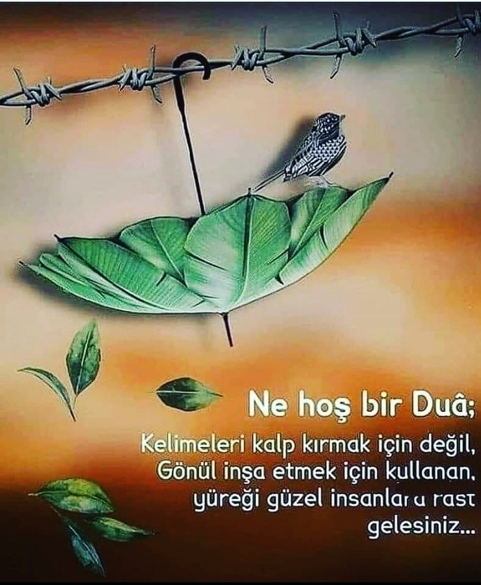 Mehtap